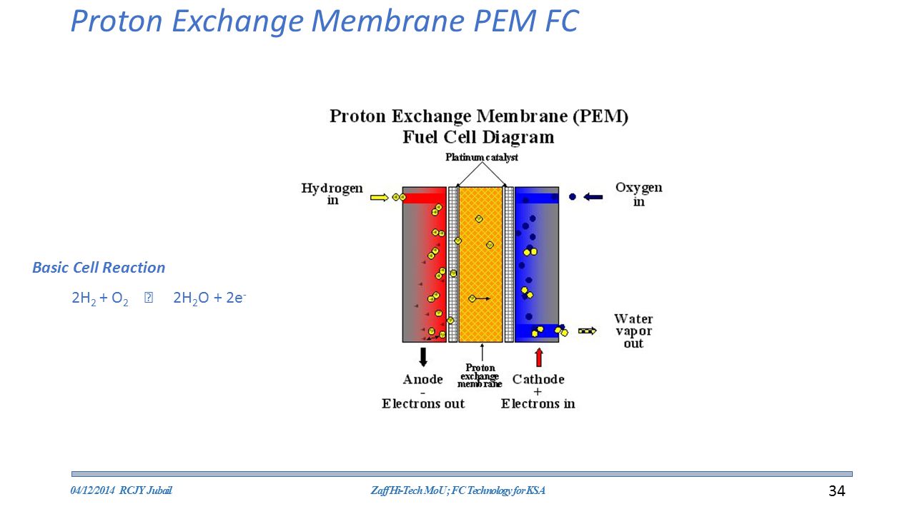 Proton Exchange Membrane PEM FC.jpg